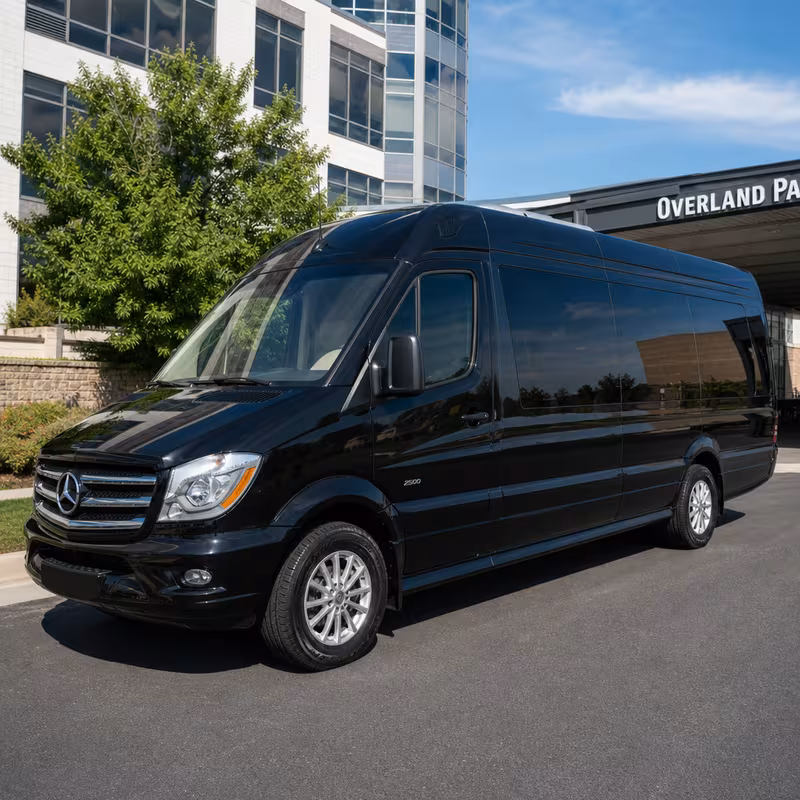14 Passenger Sprinter Limo